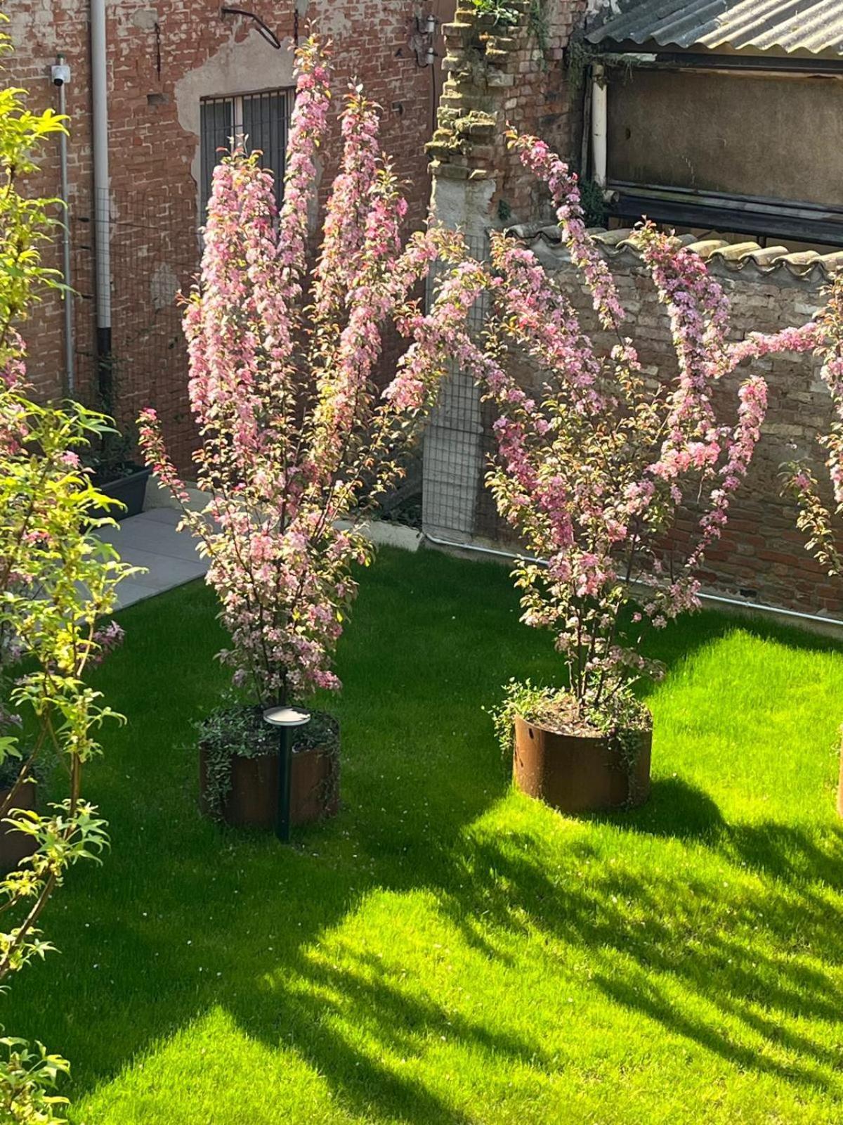 Cremona Inn Aparthotel Екстер'єр фото